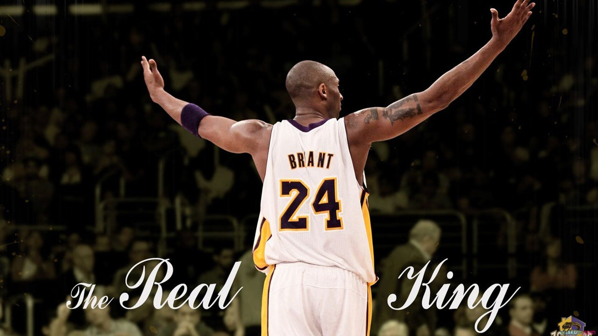 “不新建”场馆策略，绿色办赛成亮点