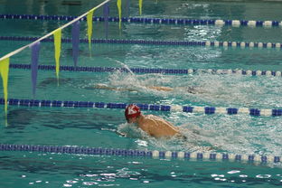 米兰体育官方网站-全国公开水域游泳赛长江赛段人气爆棚